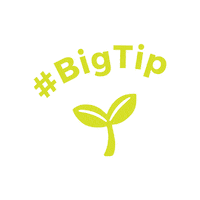 BigseedPR bigseed bigtip bigseed bigtip Sticker