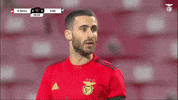 Sl Benfica Thumbs Up GIF by Sport Lisboa e Benfica