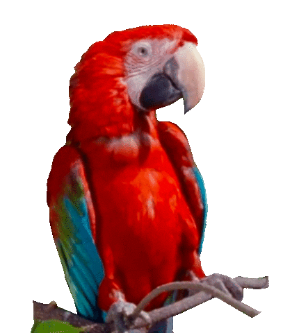 Funk Wav Bounces Summer Sticker by Calvin Harris