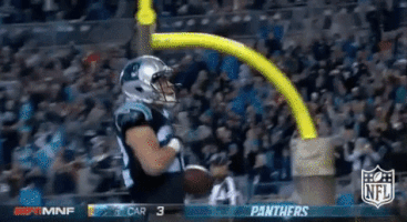 carolina panthers football GIF by NFL