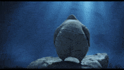 GIF by Sony Pictures Animation