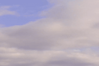 Washington State City GIF by 50statesproject