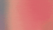 Very Important People GIF by Dropout.tv