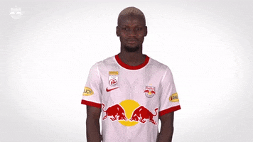 Red Bull Sport GIF by FC Red Bull Salzburg