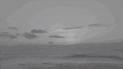 sad true romance GIF by Vacation Forever
