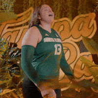 South Florida Volleyball GIF by USF Athletics