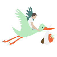 Cacao_gt  Sticker