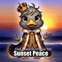 Peace Wisdom GIF by sirduckbeth