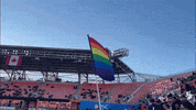 TheSurgeSG houston dynamo houston dynamo surge GIF