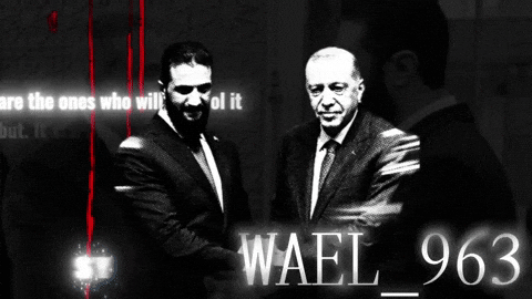 Wael GIF