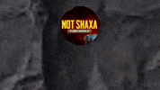 NOTshaxa shaxa notshaxa not shaxa not shaxa n1 GIF