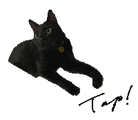 Cat Tap Sticker