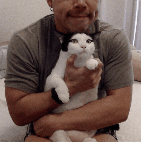 Nonexz nun neh GIF