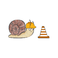 kitaweinbergschnecke weinbergschnecke kitaweinbergschnecke Sticker
