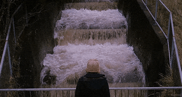 richard ayoade film GIF by Tech Noir