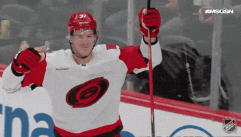 Happy National Hockey League GIF by NHL