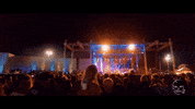slightlystoopid crowd stage lighting slightly stoopid GIF