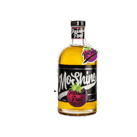 Lets Go Party Sticker by MoShine by Nelly