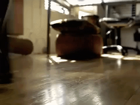 effarrjay9799 giphygifmaker apple 2001 ipod GIF