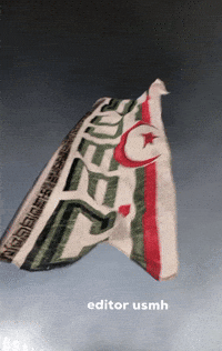 mahmoudsqdk editor usmh editorusmh GIF