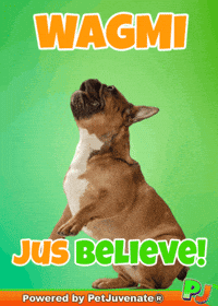 French Bulldog Funny Dog GIF by PetJuvenate - PJ