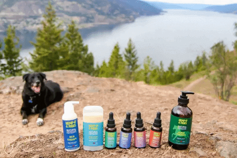 Hemp4Paws giphygifmaker GIF