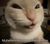 Cat GIF