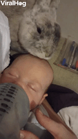 Baby and Bunny Become Best Friends 