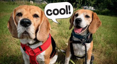 Lotte GIF by Die Wirkungskademie