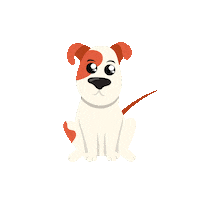 Social Media Pets Sticker by ZooRoyal