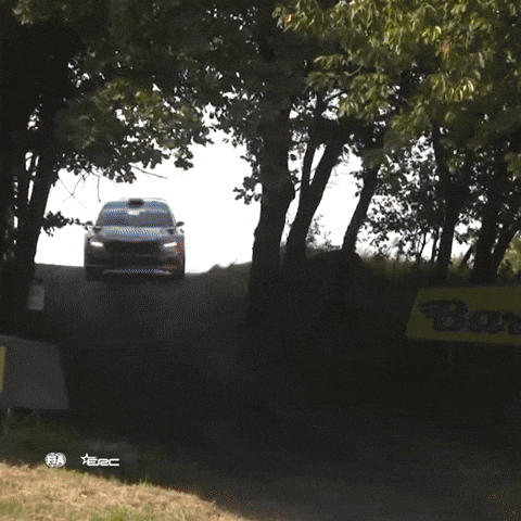 Speed Erc GIF by FIA European Rally Championship