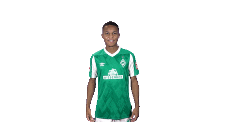 Bundesliga Felix Sticker by SV Werder Bremen