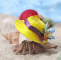 GIF by WildBrain