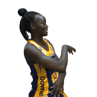 Netball Sticker by Sunshine Coast Lightning