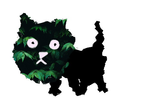Cat Sticker