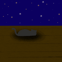 Good Night Sleeping Cat GIF