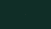 Art Video GIF by jorgemariozuleta