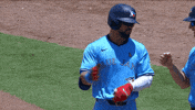 Blue Jays Baseball GIF by Toronto Blue Jays
