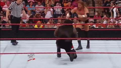 GoodOldJericho giphygifmaker wwe triple h GIF