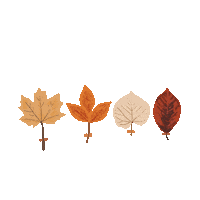 anvisuel fall autumn otoño anvisuel Sticker