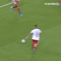 fcbayern football soccer bundesliga futbol GIF