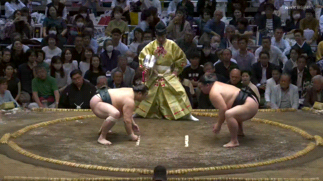 TZ85 giphyupload GIF