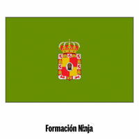 Flag Spain GIF by Formación Ninja