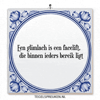 Humor Nl GIF by Tegelspreuken.nl