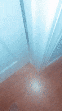 Let Me In Now Knock Knock GIF