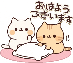 In Love Cat GIF