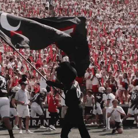 Cincinnati Football GIF by Cincinnati Bearcats