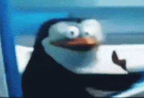 Shocked Penguins Of Madagascar GIF