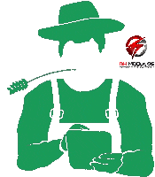 Car Tuning Sticker by RH Módulos