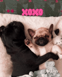 I Love You Xoxo GIF